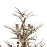 Mule Deer Niagara Chandelier - 3 of 5