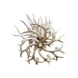 Mule Deer Niagara Chandelier - 4 of 5