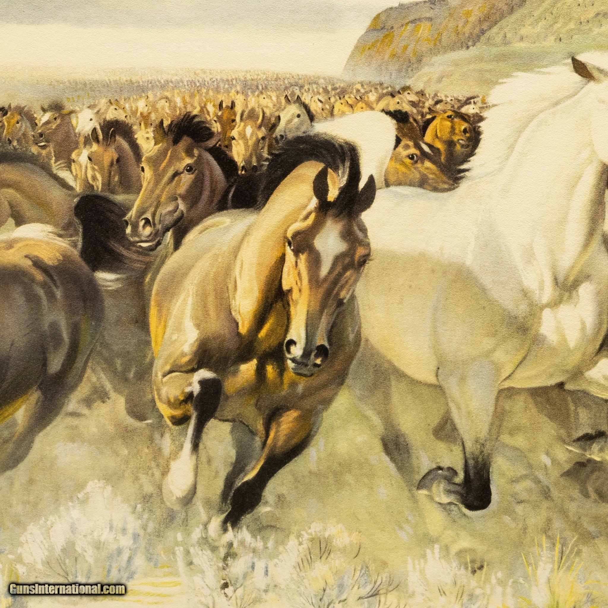 Stampede by John Clymer