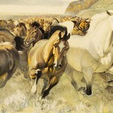 Stampede by John Clymer - 3 of 5
