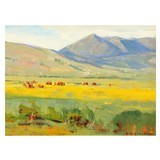 Saratoga, Wyoming by Stephen (Steve) Elliott - 1 of 4