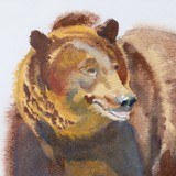 Grizzly Bear by Robert Lougheed - 3 of 5