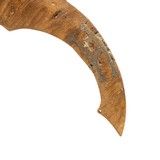 Eastern Ball Headed Burl Club - 4 of 6