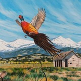 Rooster at Prairie by Michael Melander - 4 of 5