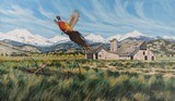 Rooster at Prairie by Michael Melander - 2 of 5
