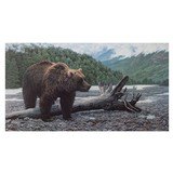 Alaskan Brown Bear by JimBeaudoin - 2 of 5