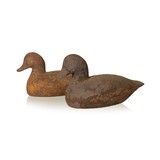 Pair of Cast Iron Ruddy Ducks