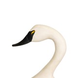 Swan Decoy by Jim Pierce - 3 of 5