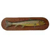 Folky Rainbow Trout - 1 of 3