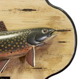Carved Brook Trout by Paul Mailman - 2 of 5