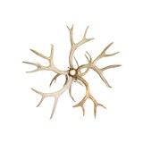 Whitetaile Chandelier - 2 of 5