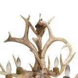 Whitetaile Chandelier - 3 of 5