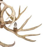 Whitetaile Chandelier - 4 of 5