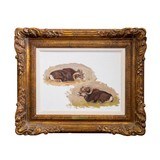 Bighorn Studies by Pat F. Wright - 2 of 4