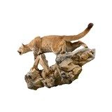 Cougar Taxidermy Mount - 4 of 6
