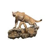 Cougar Taxidermy Mount - 3 of 6