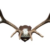 6 x 6 Elk Rack - 4 of 4