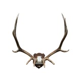 6 x 6 Elk Rack - 1 of 4