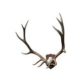 6 x 6 Elk Rack - 2 of 4