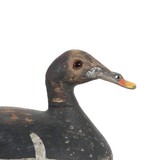 Scoter Decoy - 3 of 5