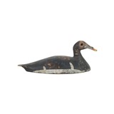 Scoter Decoy - 2 of 5