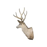 4x4 Mule Deer Buck Mount - 3 of 5
