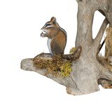 Chipmunk Driftwood Table Lamp - 3 of 5