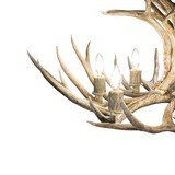 Mule Deer Chandelier - 3 of 5