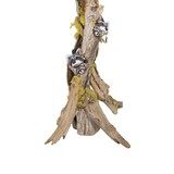 Raccoon Carved Driftwood Floor Lamp - 3 of 6