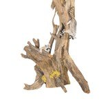 Raccoon Carved Driftwood Table Lamp - 3 of 5