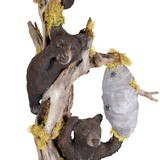 Carved Bear Cub Driftwood Floor Lamp - 4 of 7