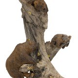 Carved Grizzly Bear Table Lamp - 4 of 5