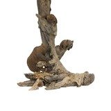 Carved Grizzly Bear Table Lamp - 3 of 5