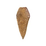 Native American Columbia River Arrowhead Blades - 3 of 8