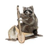 Canoeing Raccoon Taxidermy - 1 of 5