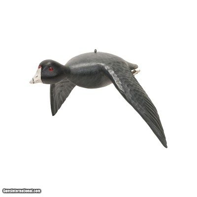 Coot Decoy