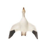 Snow Goose Decoy - 3 of 5