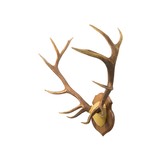6 x 6 Elk Mount - 2 of 5
