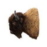 Buffalo Bison Shoulder Mount - 4 of 5