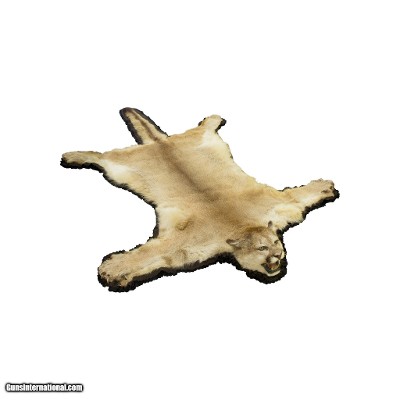 Mountain Lion Cougar Rug
