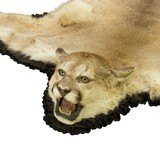 Mountain Lion Cougar Rug - 3 of 5