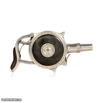 Protector Palm Pistol