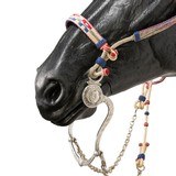 Patriotic Horsehair Bridle - 4 of 5