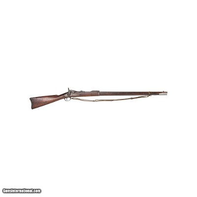 Springfield Model 1884 Trapdoor Rifle