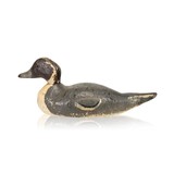 Pintail Drake Duck Decoy - 1 of 5