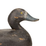 Michigan West Bluebill Duck Decoy - 3 of 5