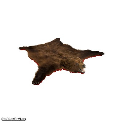 Alaska Brown Bear Rug