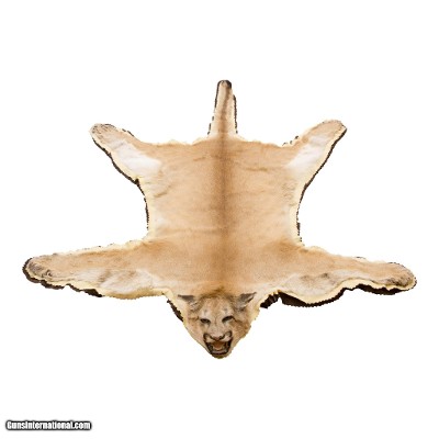 Large North Idaho Cougar Rug