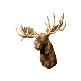 Yukon Shoulder Mount Moose - 3 of 5