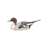 Pair of Pintail Decoys - 8 of 10